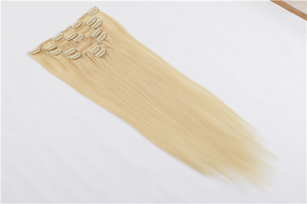 Natural Hair Clip in Extensions JF016